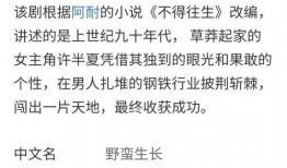 二次合作最新爆料,揭秘幕后故事与精彩看点